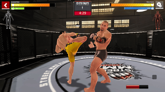 Street Combat: Ultimate MMA Fighters Screenshot