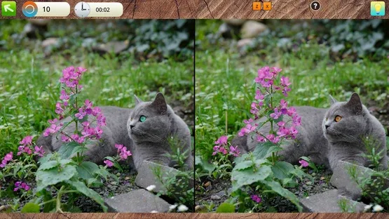 Peaceful Gardens 2: Cute Cats screenshot 2