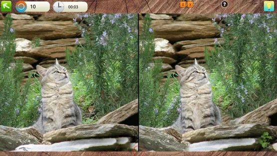 Peaceful Gardens 2: Cute Cats screenshot 6