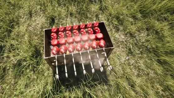 Dacha screenshot 2