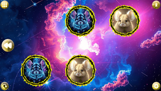 Space Memory: Chinchillas Screenshot
