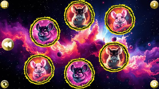 Space Memory: Chinchillas Screenshot