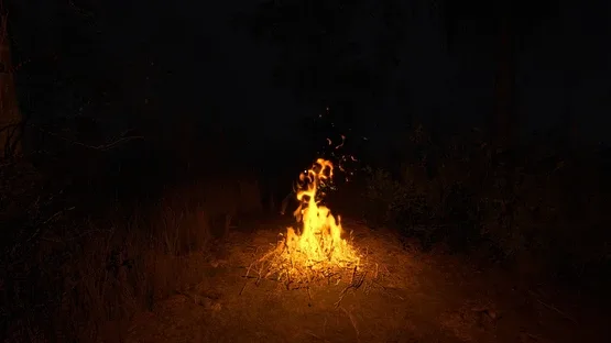 Đồng CỎ Lau: The Reed Field screenshot 1
