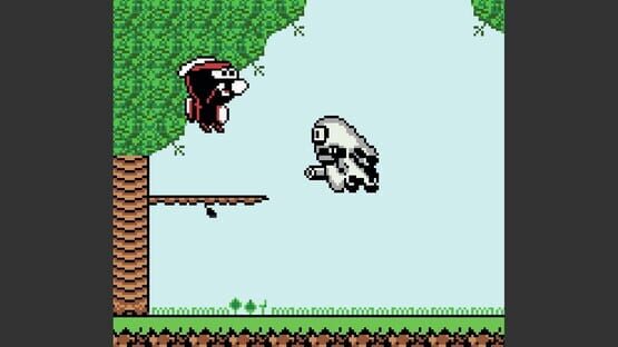 Rabidja's Revenge screenshot 5