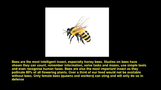 Quiz & Learn: Animals Screenshot