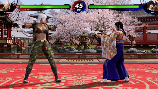 Virtua Fighter 5 R.E.V.O. World Stage Screenshot