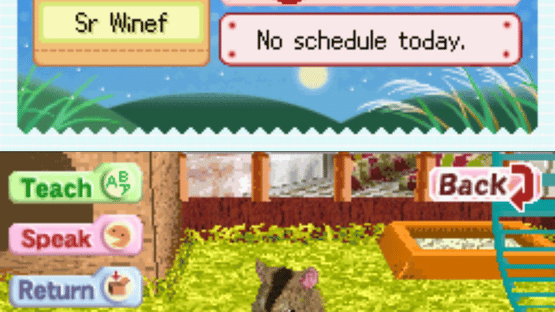 Hamsterz Life Screenshot