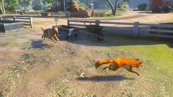 Chill Fox Screenshot