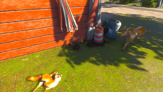 Chill Fox Screenshot