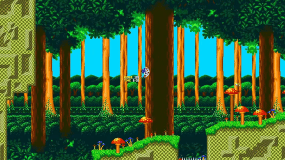 Untitled Sonic Fangame Screenshot
