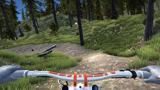MTB Downhill Simulator Screenshot