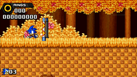 Sonic Seasons Screenshot