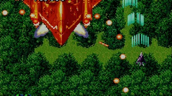 Tiger Rescue gameplay screenshot 1
