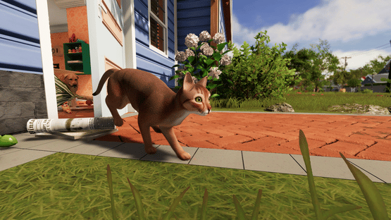 House Flipper 2: Pets Screenshot
