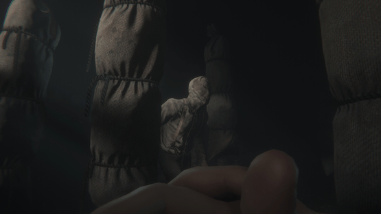 Maid of Sker VR Screenshot