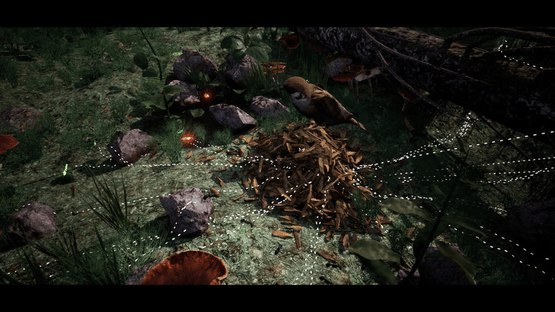 Soilborn: Ant Empire Screenshot