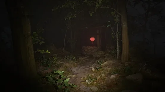 Thumbnail 29