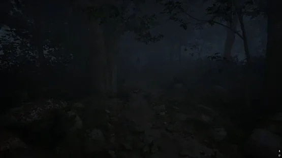 Thumbnail 13