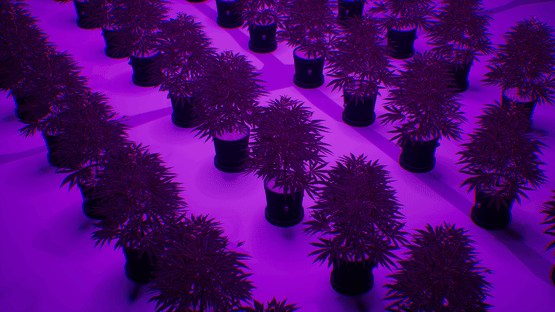 WeedEx: Drug Express Delivery Screenshot