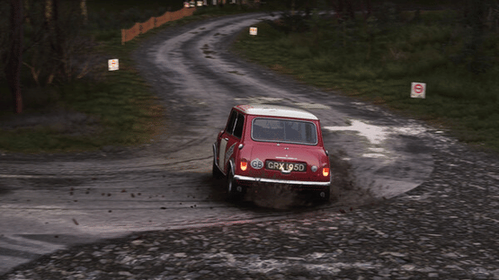 Assetto Corsa Rally Screenshot
