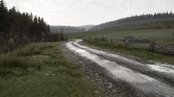 Assetto Corsa Rally Screenshot
