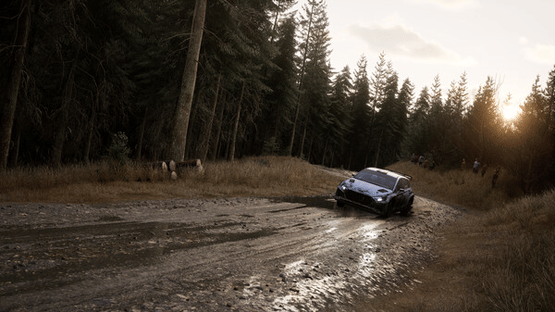 Assetto Corsa Rally Screenshot