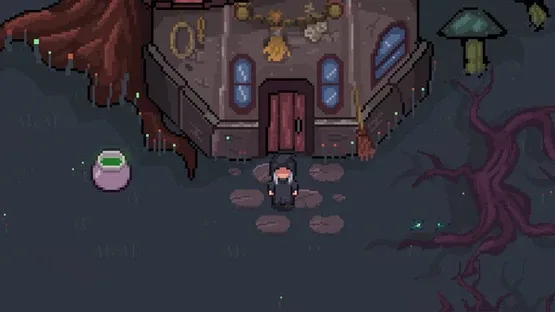 Thumbnail 13