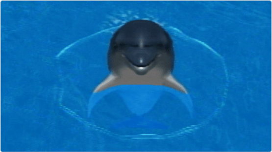 My Dolphin Screenshot