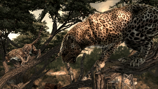 Cabela's Dangerous Hunts 2011 Screenshot