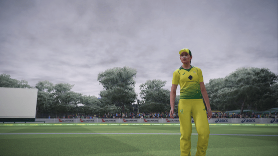 Ashes Cricket Screenshot