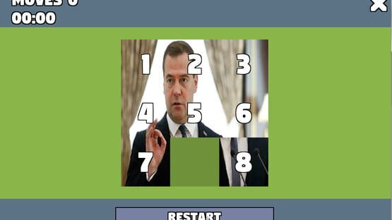 Political Puzzle cover