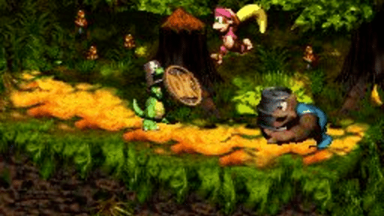 Donkey Kong Country 3: Dixie Kong's Double Trouble! Screenshot