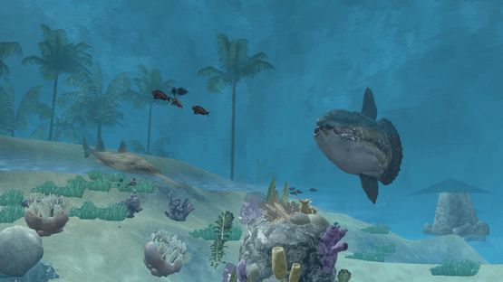 Wildlife Park 2: Marine World Screenshot