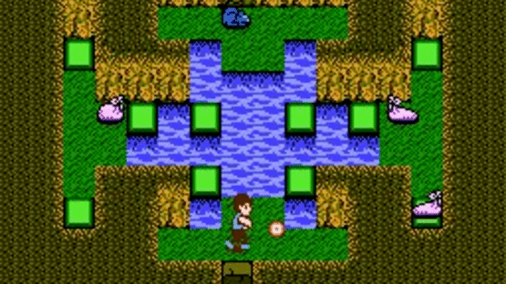 StarTropics Screenshot