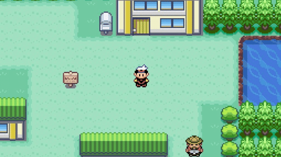 Pokémon Fusion Generation Screenshot