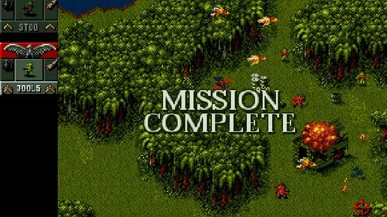 Thumbnail 7