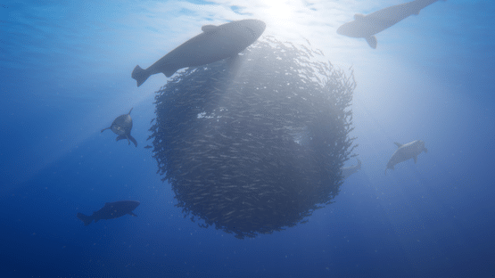 Beyond Blue Screenshot