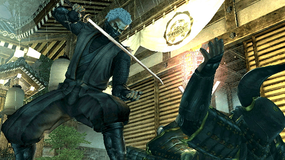 Tenchu: Shadow Assassins Screenshot