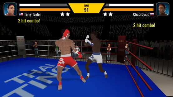 Muay Thai Fighting cover