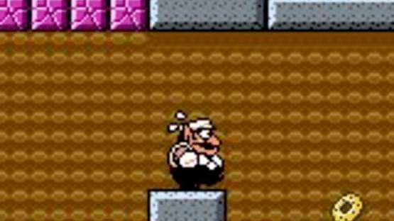 Wario Land 3 Screenshot