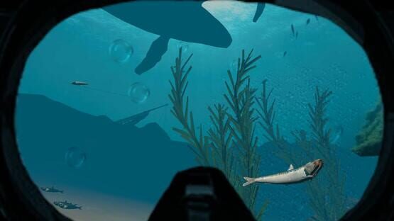 Absolute VR Experiences cover