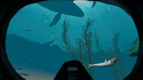 Absolute VR Experiences screenshot 11
