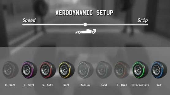 Monoposto screenshot 10