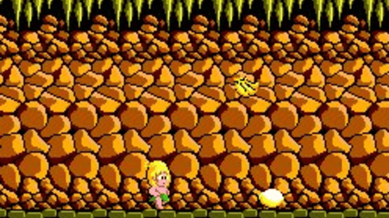 Wonder Boy Screenshot