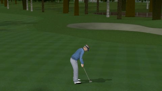 ProStroke Golf: World Tour 2007 Screenshot