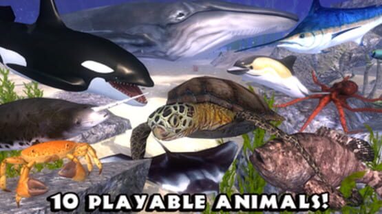 Thumbnail 10