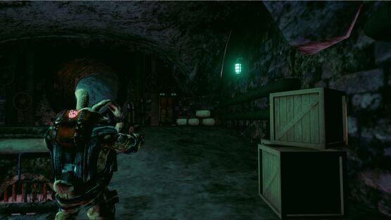 Bunny Madness Anarchy cover