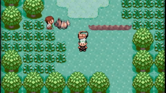 Pokémon Emerald Version Screenshot