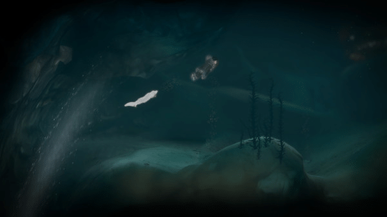 Never Alone: Foxtales Screenshot