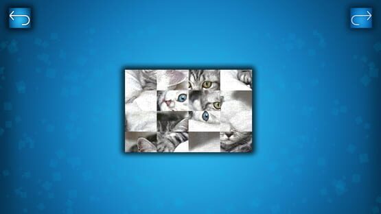 PUZZLE: CATS & DOGS screenshot 2